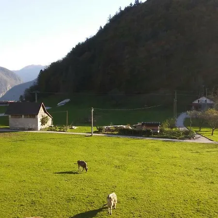 Apartma Rink Apartmán Tolmin